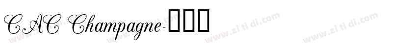 CAC Champagne字体转换